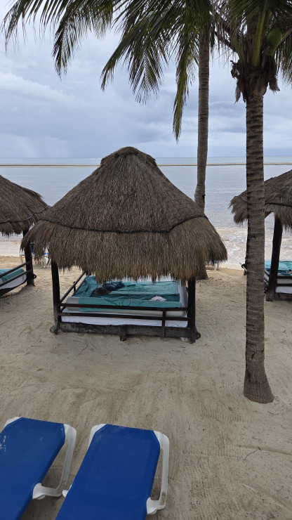 original 20260317 083708