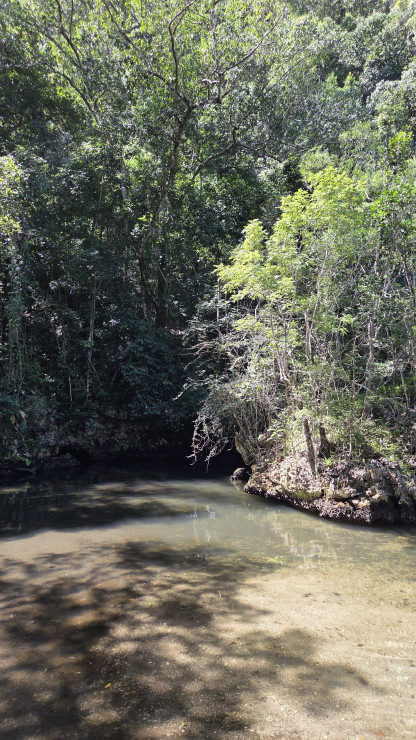 original 20260315 111548